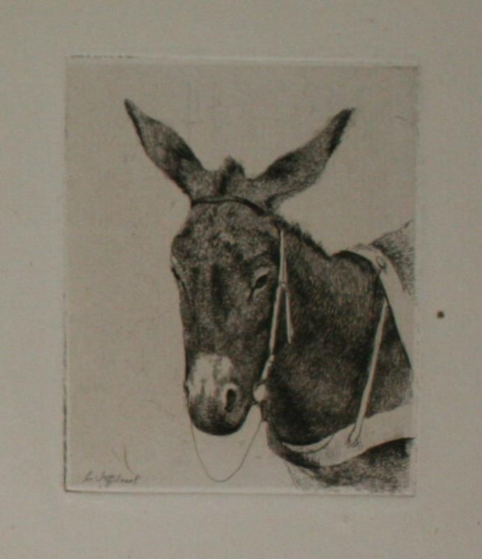 Cornelis Steffelaer | grafika - zvíře | Displayed motifs: Mule, Animal, Angel, 