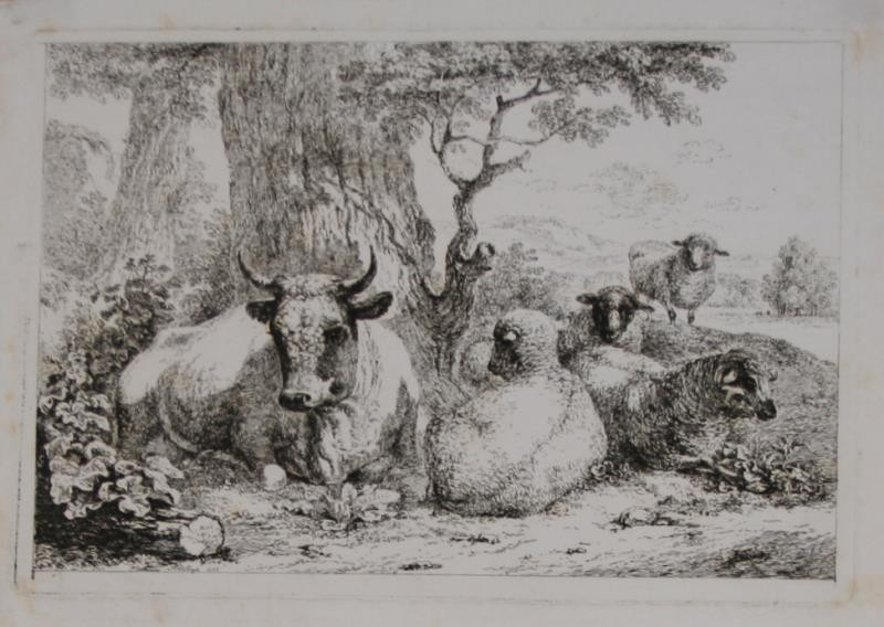 František Xaver, Rektorzik Rektořík | Ovce a kráva (Stádo pod stromy) | Displayed motifs: Sheep, Animal, Duck, Tree, Cattle, Bull, 