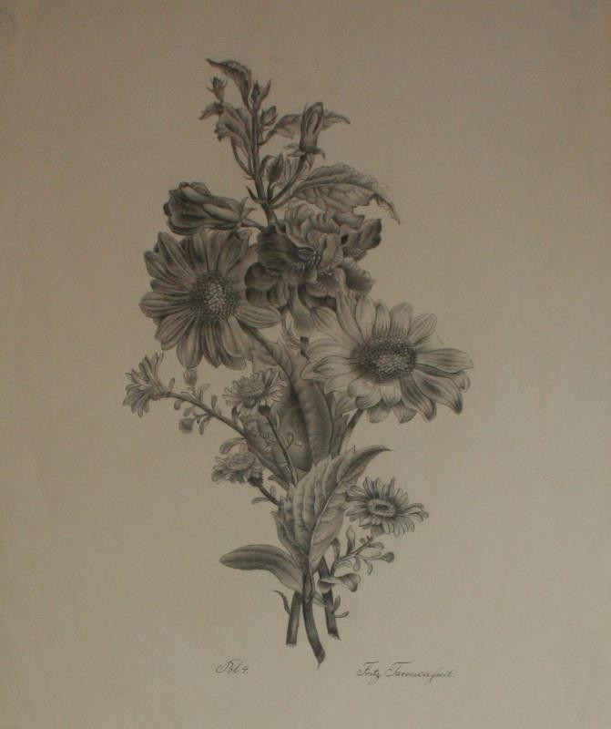 Bedřich Silva Tarouca | Studie slunečnic | Displayed motifs: Flower, Plant, White dove, Coat of arms, 