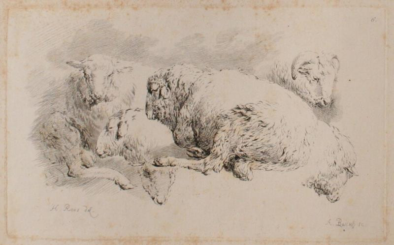 Adam Bartsch | Etudes d' animaux dessintes par H. Roos | Displayed motifs: Sheep, Putto, 