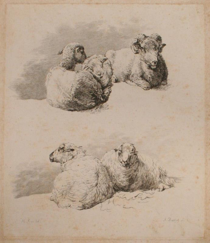 Adam Bartsch | Etudes d' animaux dessintes par H. Roos | Displayed motifs: Dog, Sheep, Bird, Duck, 