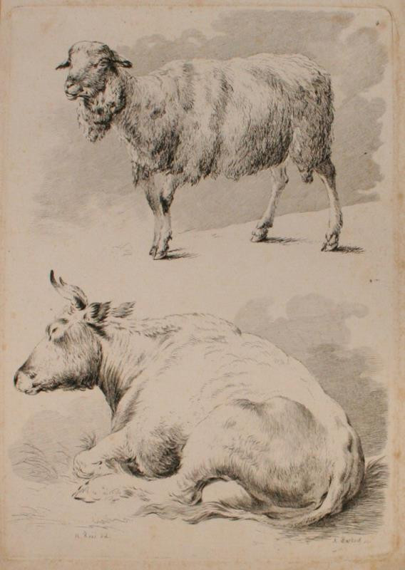 Adam Bartsch | Etudes d' animaux dessintes par H. Roos | Displayed motifs: Cattle, Horse, Goat, Animal, Sheep, 