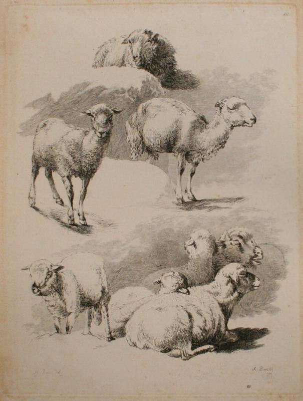 Adam Bartsch | Etudes d' animaux dessintes par H. Roos | Displayed motifs: Camel, Animal, Sheep, Goat, 