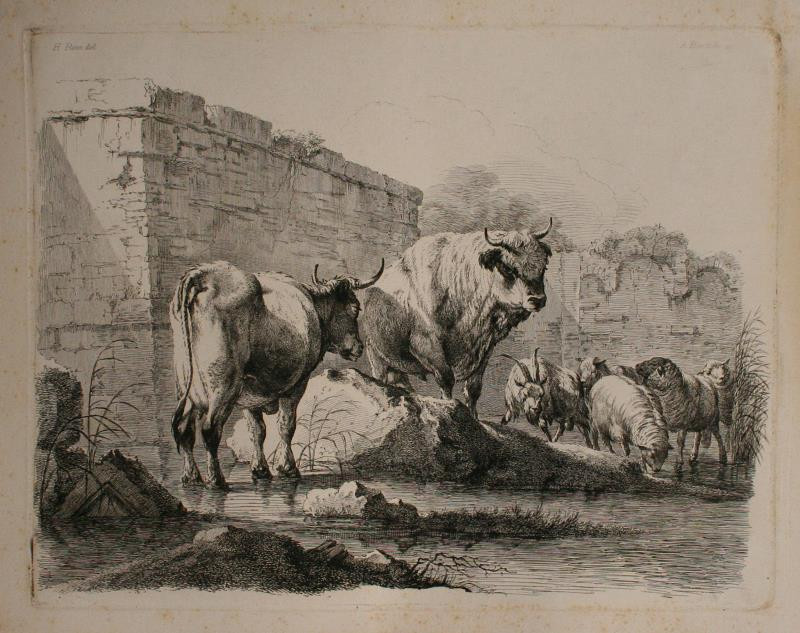 Adam Bartsch | Etudes d' animaux dessintes par H. Roos | Displayed motifs: Cattle, Animal, Bull, Sheep, 