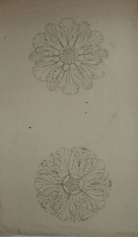 Carl von Sales | Studie ornamentu | Displayed motifs: Flower, 