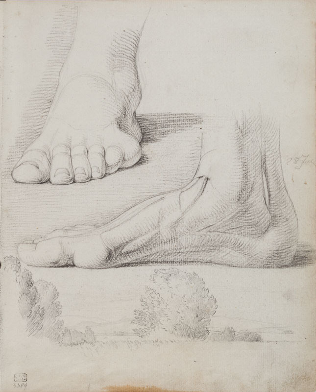 František Tkadlík | List v náčrtníku C - anatomické studie nohou a náčrt krajiny | Displayed motifs: White dove, Human foot, Clothing, Person, 