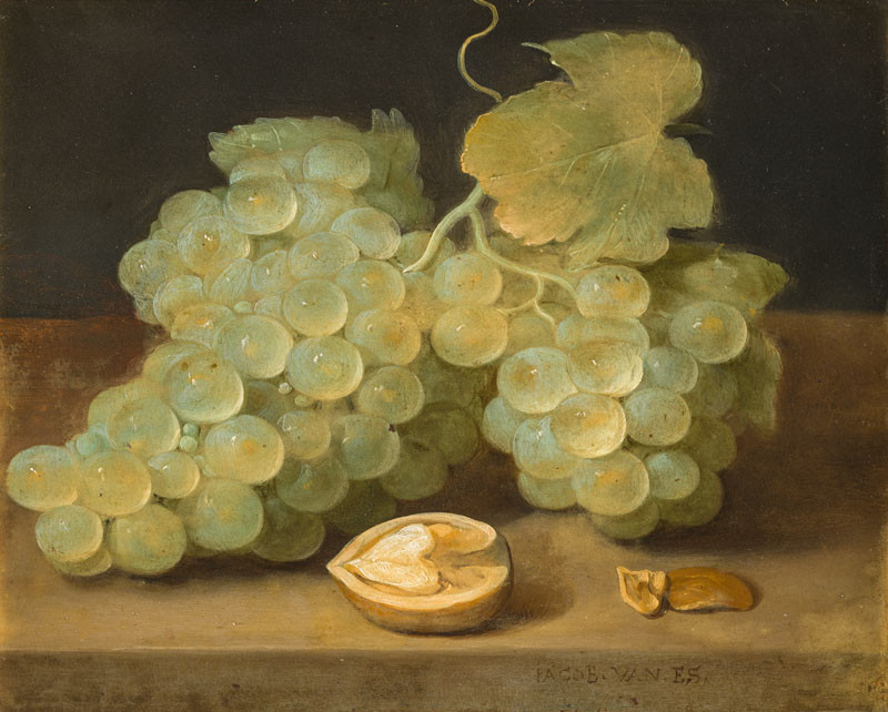 Jacob Fopsen van Es | Zátiší s hrozny a ořechem | Displayed motifs: Food, Plant, Coat of arms, 