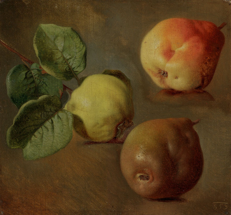 Josef Navrátil | Kdoule | Displayed motifs: Halo, Pear, Vegetable, Plant, Coat of arms, 