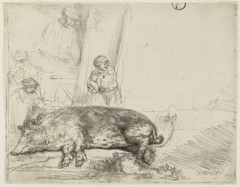 Rembrandt van Rijn | Vepř | Displayed motifs: Pig, Angel, Animal, Human face, Coat of arms, Clothing, Person, 