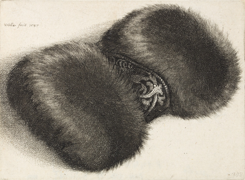 Václav Hollar - rytec | Rukávník ovinutý brokátem | Displayed motifs: Cat, Carnivore, Animal, Dog, 