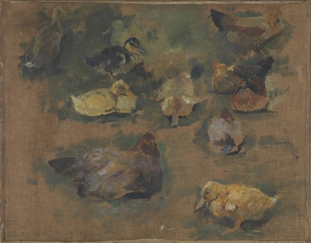 Hubert von Heyden | Geflügelstudie | Displayed motifs: Animal, Bird, White dove, Duck, 