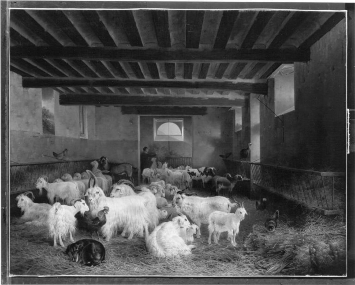 Joseph August Knip | Garnisonsstall in Rosny-sur-Seine | Displayed motifs: White dove, Goat, Cattle, Cat, Building, Sheep, 