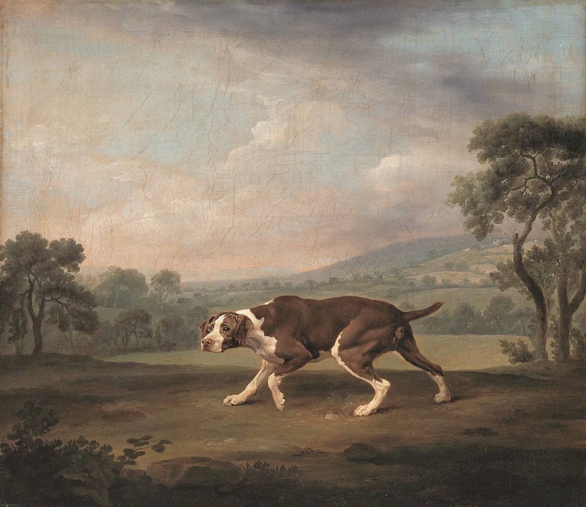 George Stubbs | Hühnerhund | Displayed motifs: Dog, Tree, 