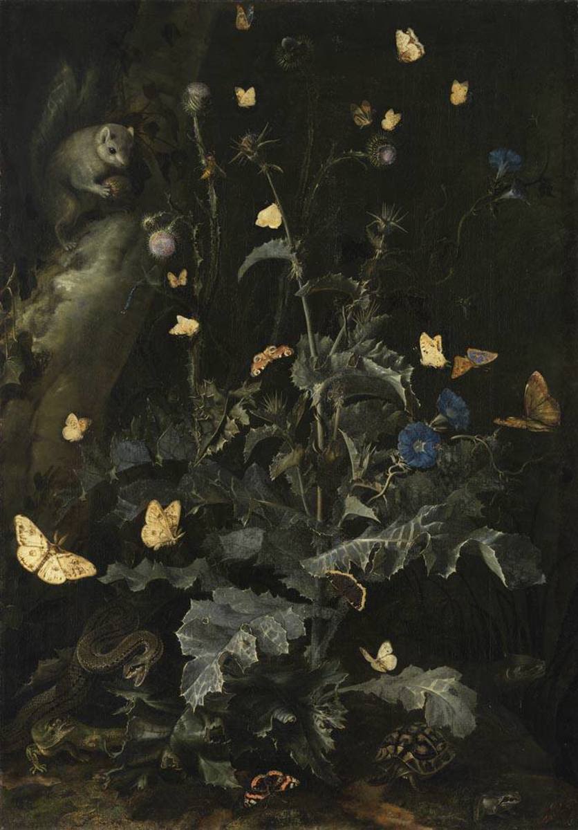 Otto Marseus van Schrieck | Die große Distel | Displayed motifs: Butterfly, Flower, Squirrel, Coat of arms, Putto, Plant, Miter, 