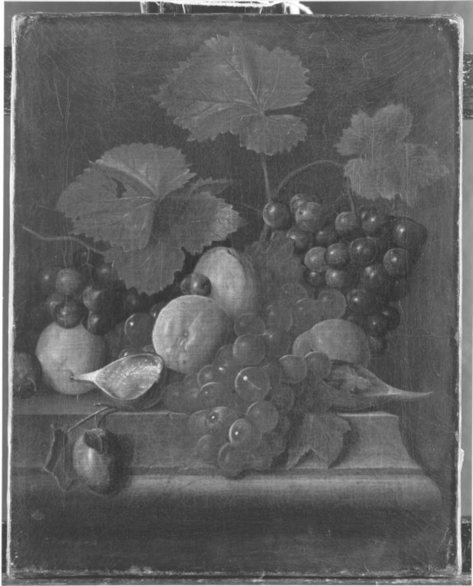 Peter Jacob Horemans | Früchtestillleben | Displayed motifs: Maple, Vegetable, Wheel, Animal, Fruit, 