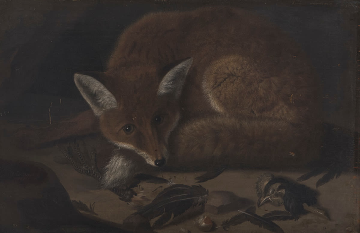 Franz Rösel von Rosenhof | Ein Fuchs | Displayed motifs: Fox, Halo, Cat, Animal, Raven, Miter, Bird, 