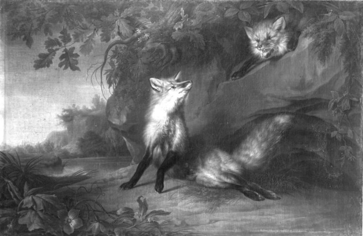 Johann Christian von Mannlich | Zwei kanadische Füchse | Displayed motifs: Cat, Putto, White dove, Animal, Fox, Tree, Carnivore, 