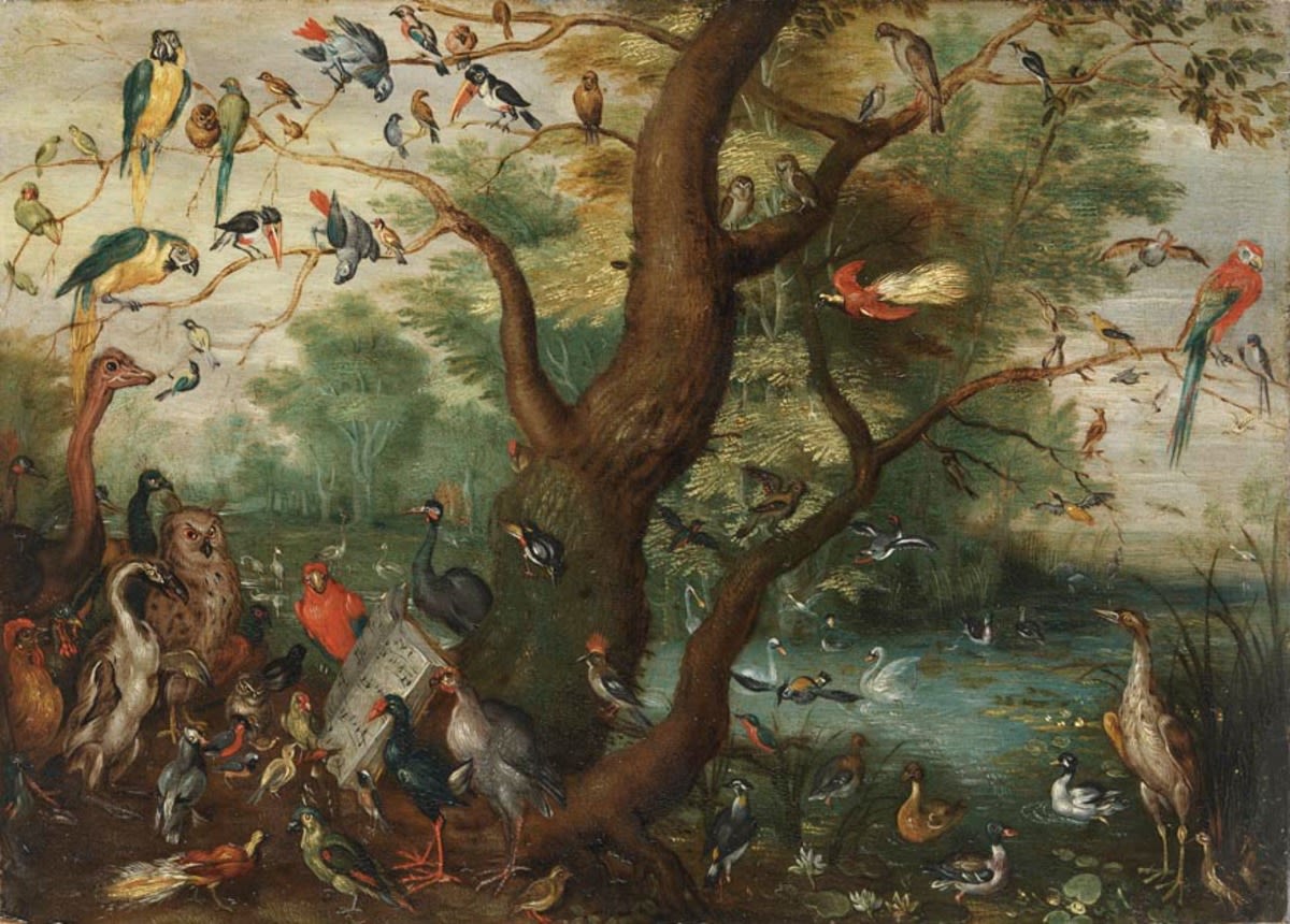 Jan Brueghel d. Ä. (Kopie nach) | Das Vogelkonzert | Displayed motifs: Parrot, White dove, Tree, Bird, Animal, Duck, Chicken, 