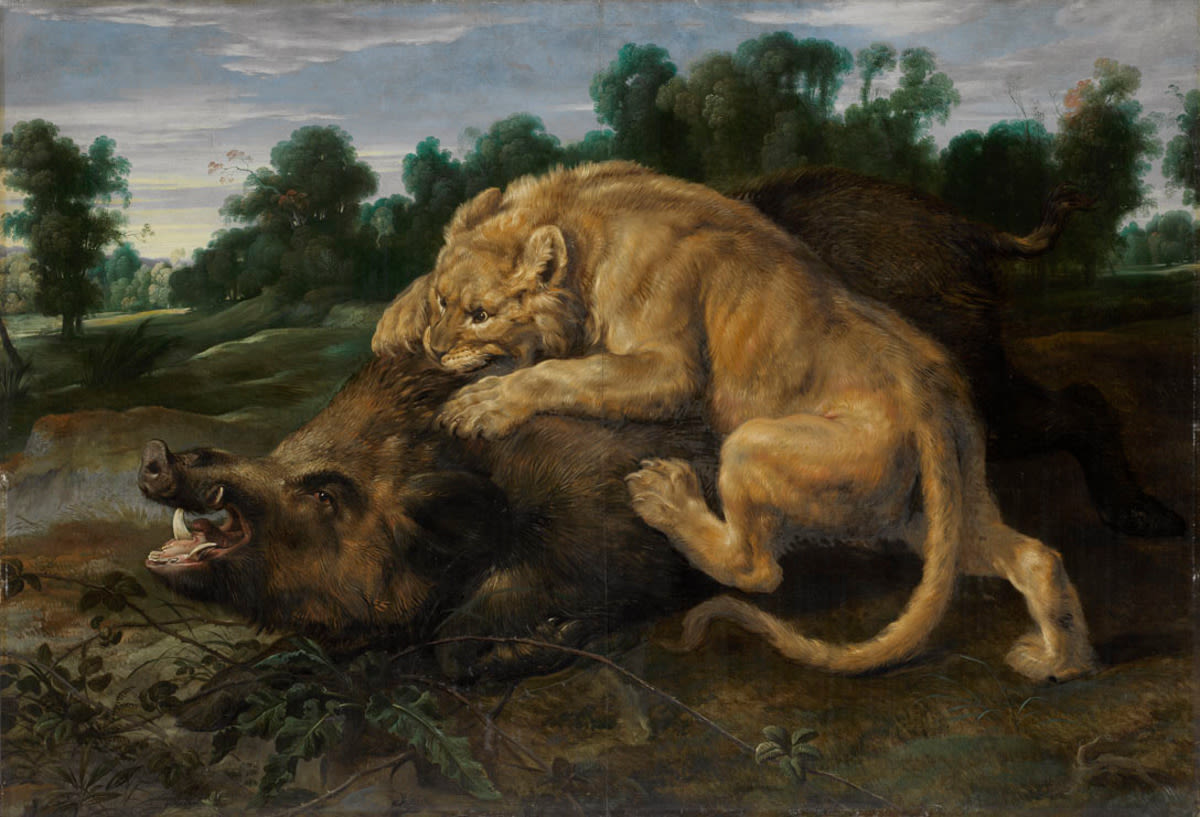 Frans Snyders | Eine Löwin schlägt ein Wildschwein | Displayed motifs: Lion, Animal, Tree, Carnivore, Wound, 