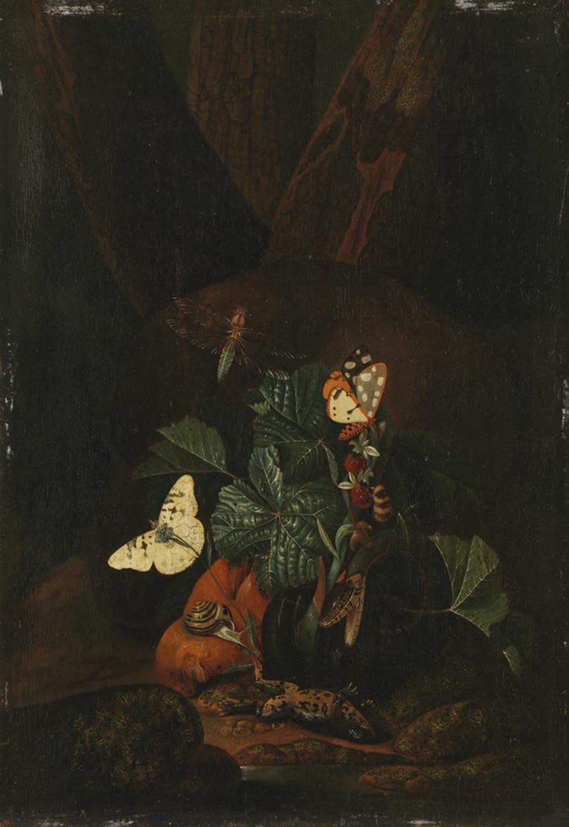 Franz de Hamilton | Stillleben mit Schlange, Schnecke und totem Frosch | Displayed motifs: Butterfly, 