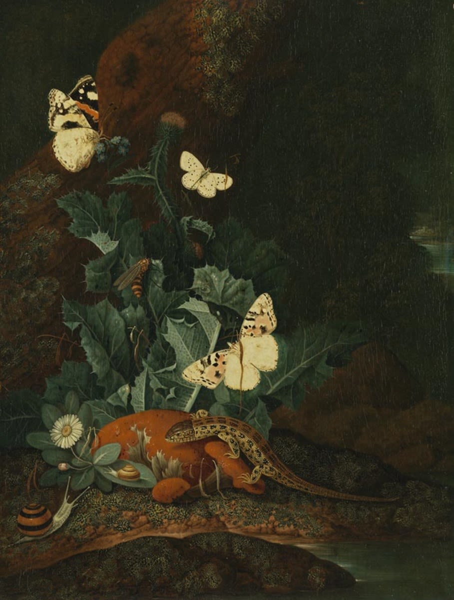 Franz de Hamilton | Stillleben mit Distel, Eidechse und Schnecke | Displayed motifs: Butterfly, Lizard, Flower, 
