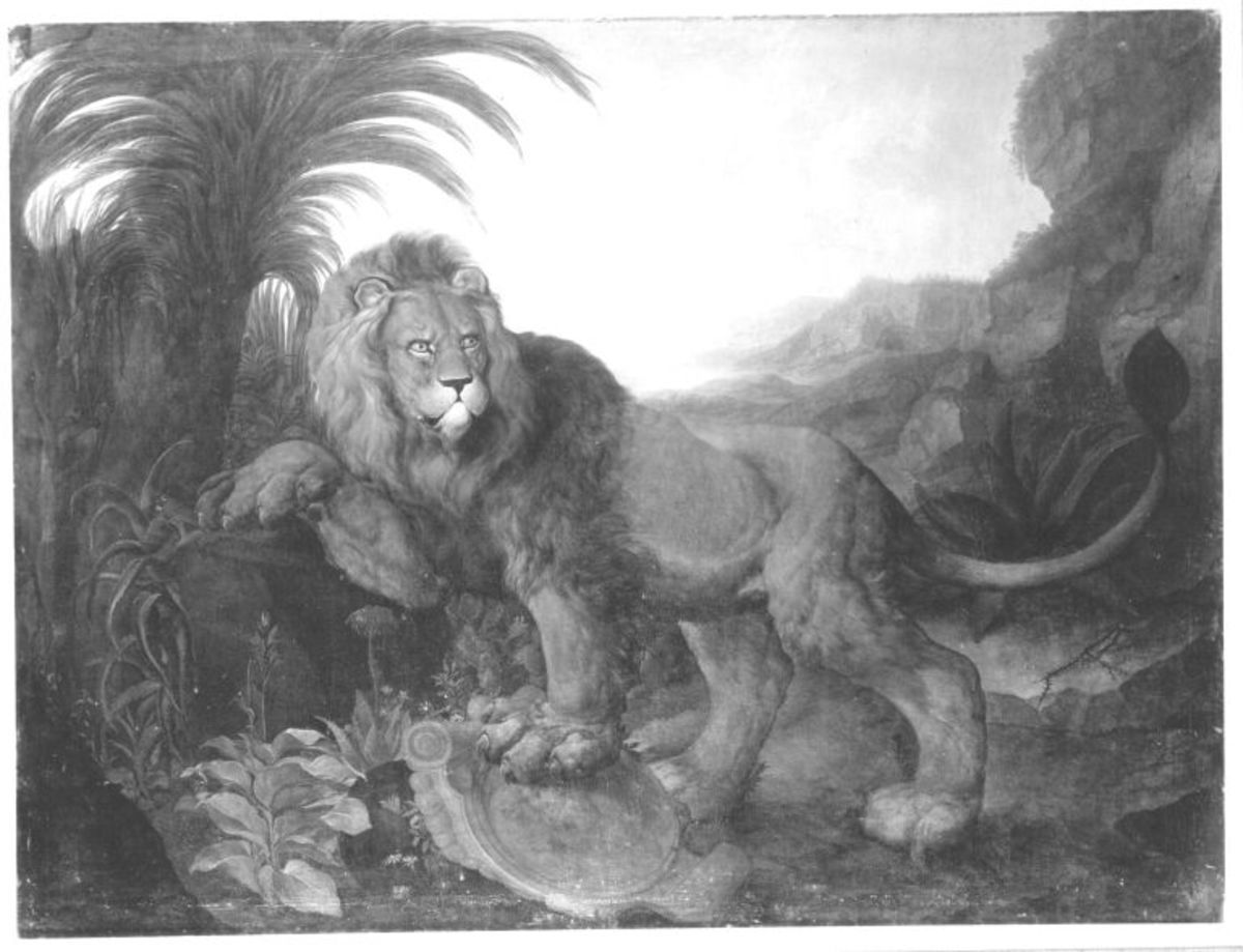 Johann Melchior Roos | Ein Löwe | Displayed motifs: Lion, Tree, 