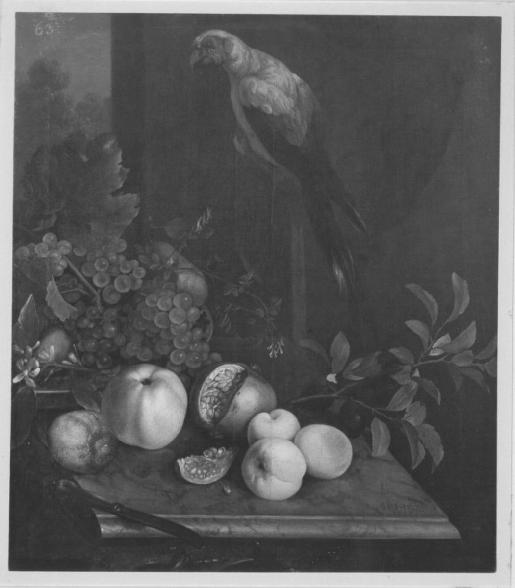 Johann Christian Sperling | Früchtestück mit Papagei | Displayed motifs: Plant, Vegetable, Fruit, 