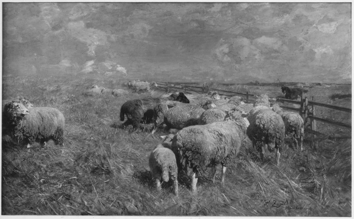 Heinrich von Zügel | In Erwartung | Displayed motifs: Sheep, 