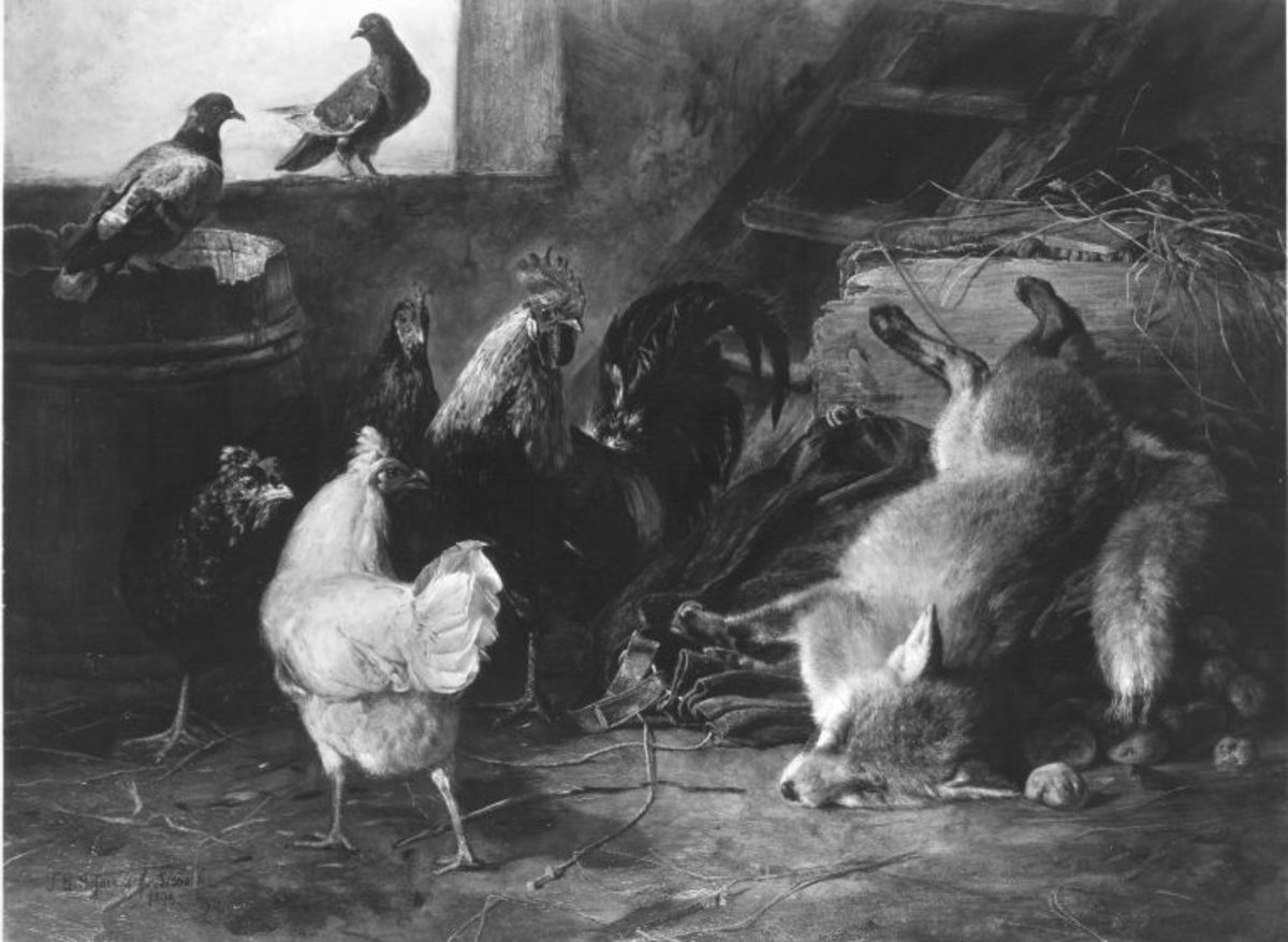 Johann Baptist Hofner | Stillleben | Displayed motifs: Chicken, Bird, Carnivore, White dove, Animal, Mammal, Squirrel, 