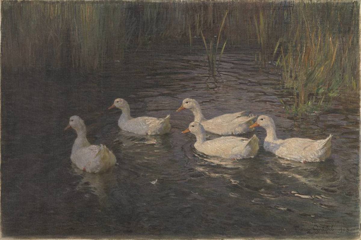 Franz Grässel | Enten II | Displayed motifs: White dove, Duck, Goose, 