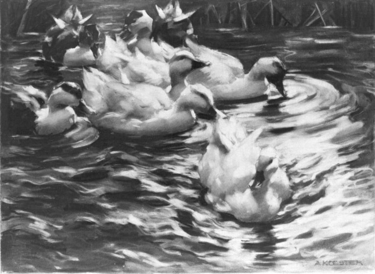 Alexander Koester | Von links heranschwimmende Enten | Displayed motifs: White dove, Duck, Angel, 