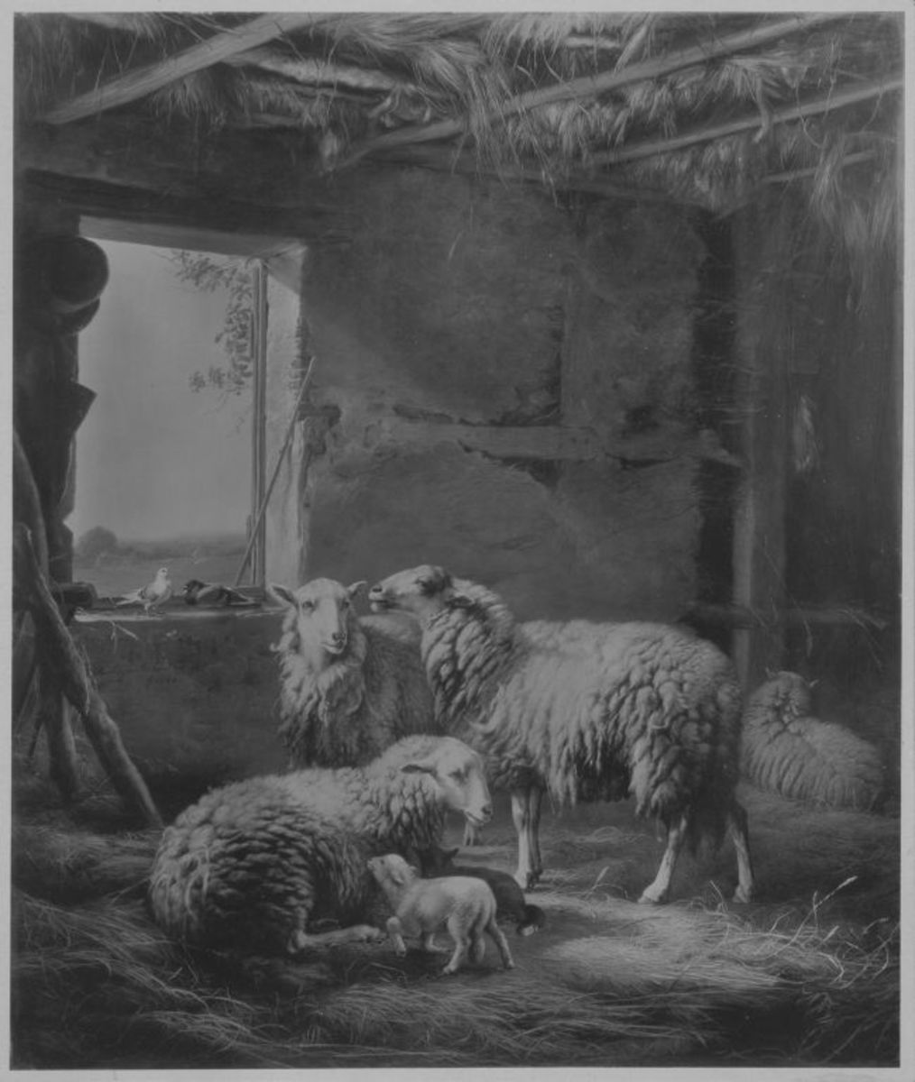 Eugène Joseph Verboeckhoven | Holländischer Schafstall | Displayed motifs: Sheep, Pig, Goat, 