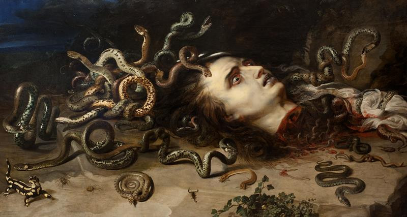 Rubens, Peter Paul | Hlava Medusy | Displayed motifs: Snake, Human face, Animal, Footwear, Lizard, Halo, 