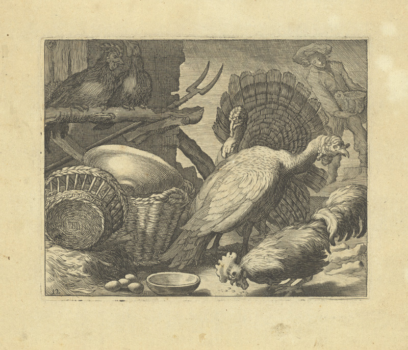 Hollar, Václav | Pár krocanů, kohout, dvě slepice | Displayed motifs: Chicken, Bird, Angel, Mammal, Carnivore, Person, 