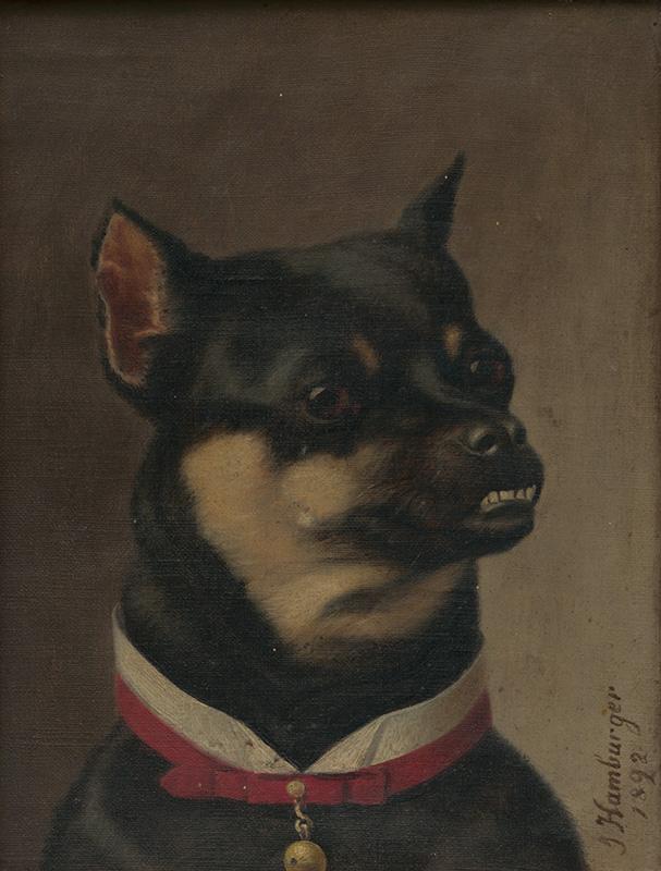 Hamburger, Julius | Pes s obojkom so stojačikom a rolničkou | Displayed motifs: Dog, Clothing, Thorn crown, 