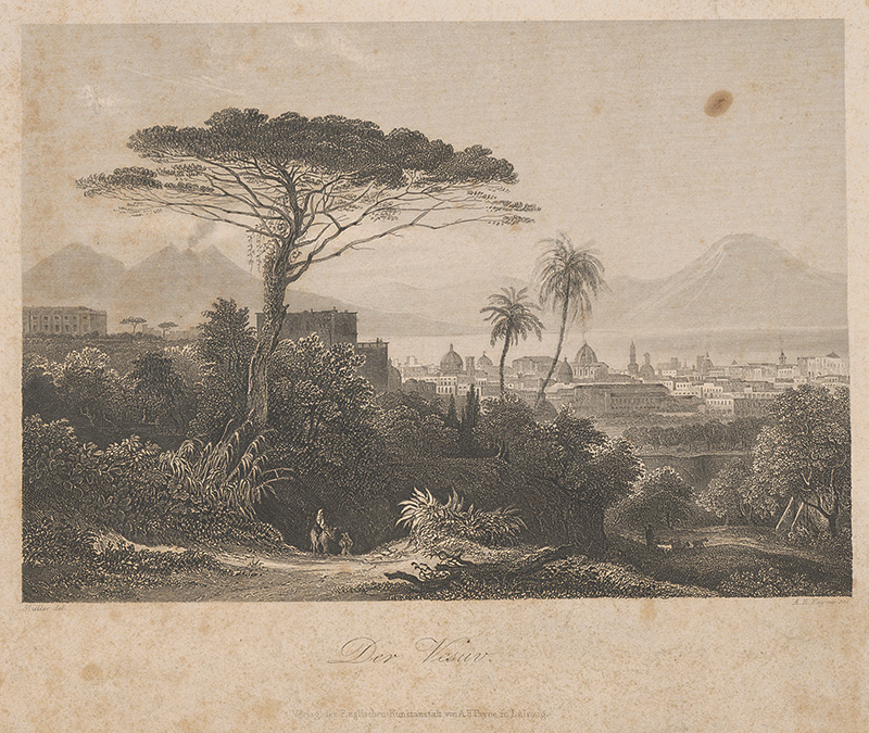 Payne, Albert Henry, Müller, Leopold | Vezuv | Displayed motifs: Tree, Palm tree, 