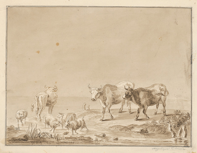 Majsch, Andreas | Napájanie | Displayed motifs: Cattle, Bull, Animal, 