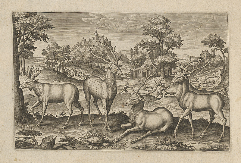 Collaert, Adriaen | Jelene | Displayed motifs: Deer, Tree, Antelope, Animal, 