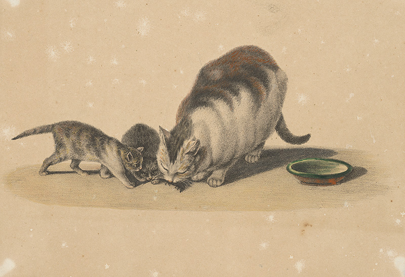 Francúzsky grafik z polovice 19. storočia | Mačky s myšou | Displayed motifs: Cat, White dove, 