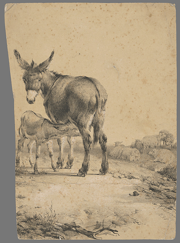 Cooper, Thomas Sidney | Osol | Displayed motifs: Deer, Animal, Giraffe, Antelope, 