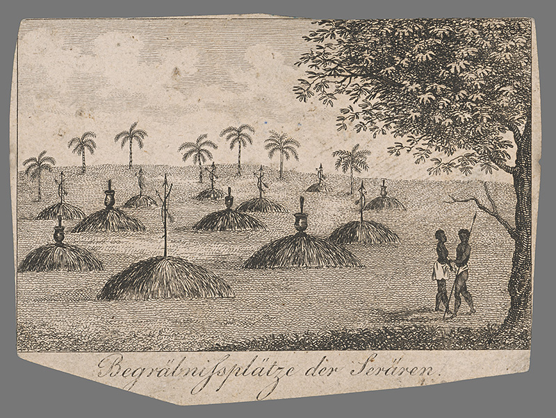 Stredoeurópsky grafik z 19. storočia | Pohrebište v Serärene | Displayed motifs: Tree, Palm tree, Person, Man, 