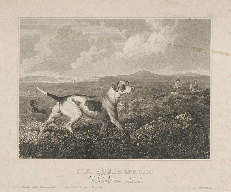 Nemecký maliar z 19. storočia | Poľovnícky pes | Displayed motifs: Dog, Putto, Man, Clothing, 