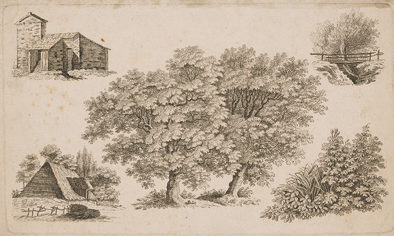 Stredoeurópsky maliar z 19. storočia | Krajinky | Displayed motifs: Tree, House, Plant, White dove, 