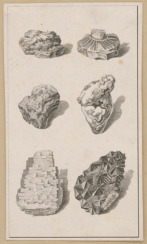 Stredoeurópsky maliar z 19. storočia | Minerály | Displayed motifs: Coat of arms, Skull, Tortoise, Turtle, Sea turtle, Human head, 