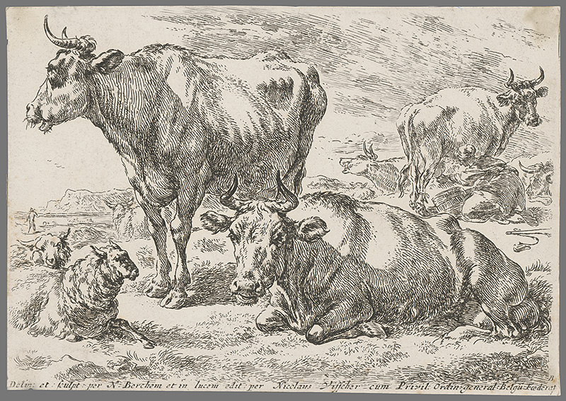 Berchem st., Nicolaes Claes | Kravy | Displayed motifs: Cattle, Animal, Bull, 