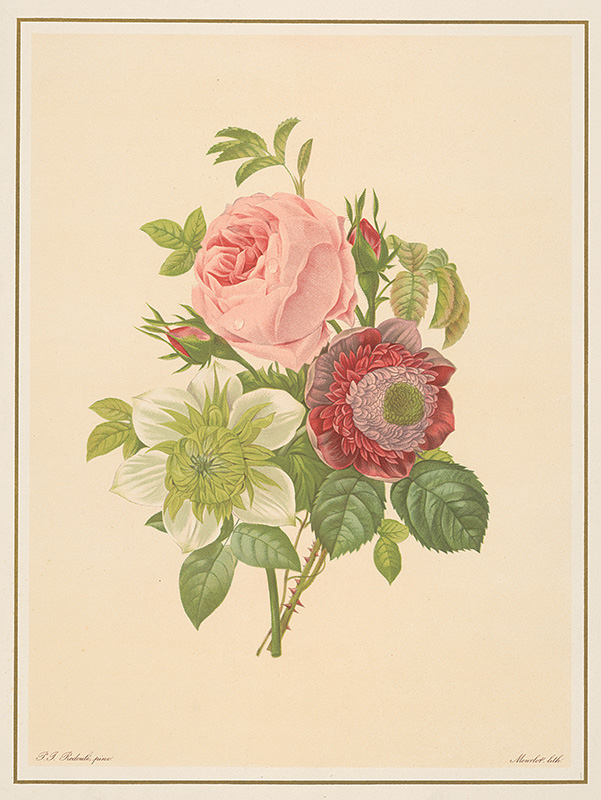 Mourlot, Alphonse Jean Baptista, Redoute, Pierre Joseph | Kytica kvetov | Displayed motifs: Rose, Flower, 