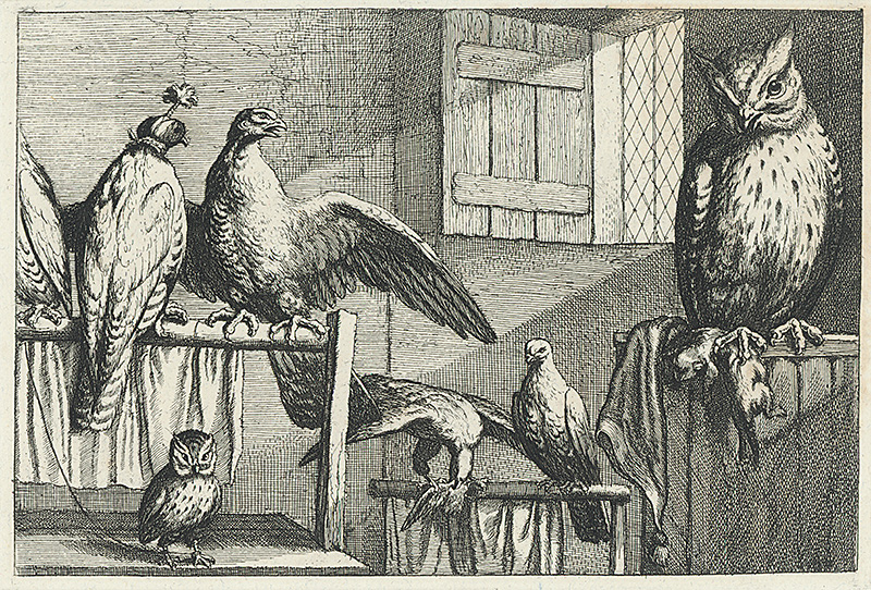 Hollar, Václav | Sova a dva sokoly | Displayed motifs: Bird, Owl, Angel, Clothing, 