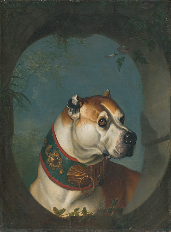 Anglický maliar z 18. storočia | Portrét psa | Displayed motifs: Dog, Fish, Plant, Tree, 