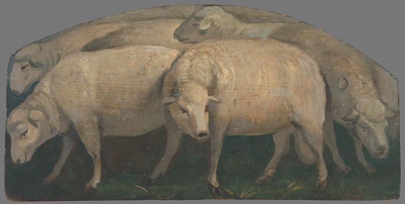 Ratskay, Maximilián | Ovce | Displayed motifs: Rhinoceros, Cattle, Animal, Bull, Human face, 
