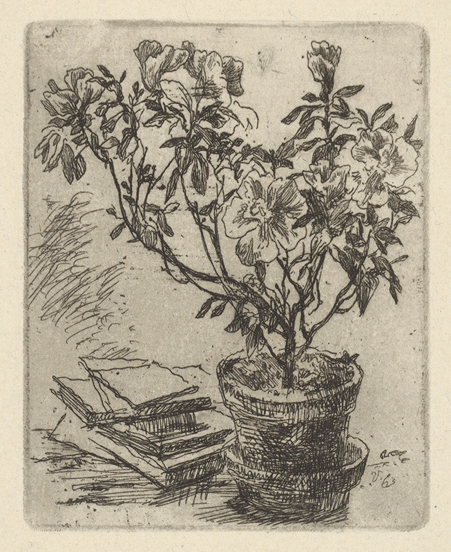 Vodrážka, Jaroslav | Azalka | Displayed motifs: Flowerpot, Flower, Houseplant, Plant, 